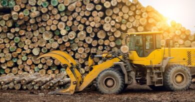 bois durables Cameroun