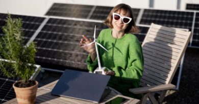 entreprises françaises énergie solaire