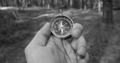 innovations crise quartz sauvetage horlogerie suisse