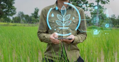 startups tunisiennes agriculture propre