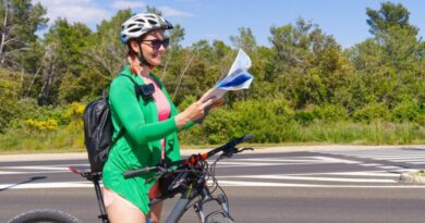 innovations mobilité propre pays francophones