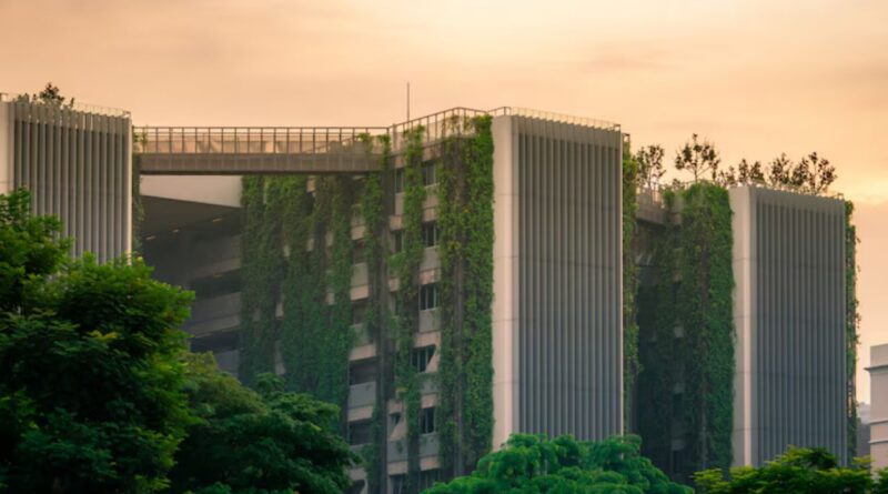 jeunes entrepreneurs technologies propres francophonie