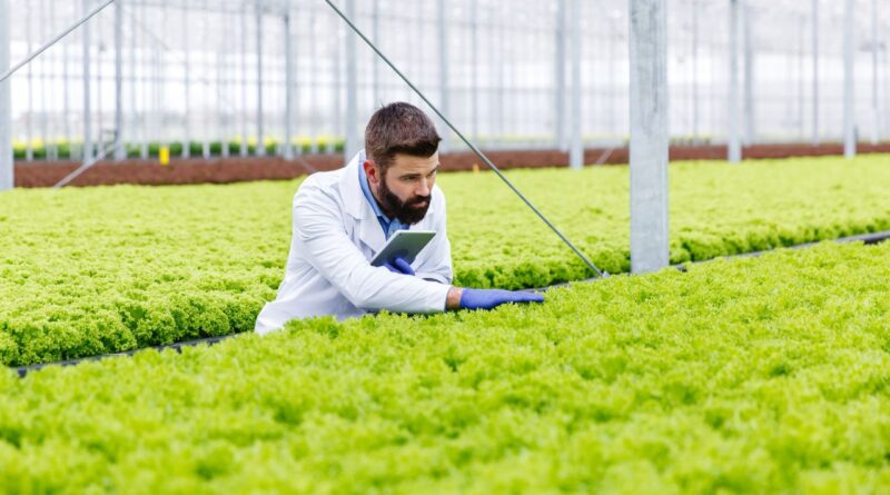 innovations suisses agriculture durable