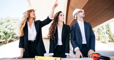 Lois Construction France