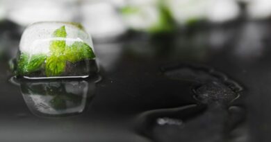 Innovation Environnementale Belgique