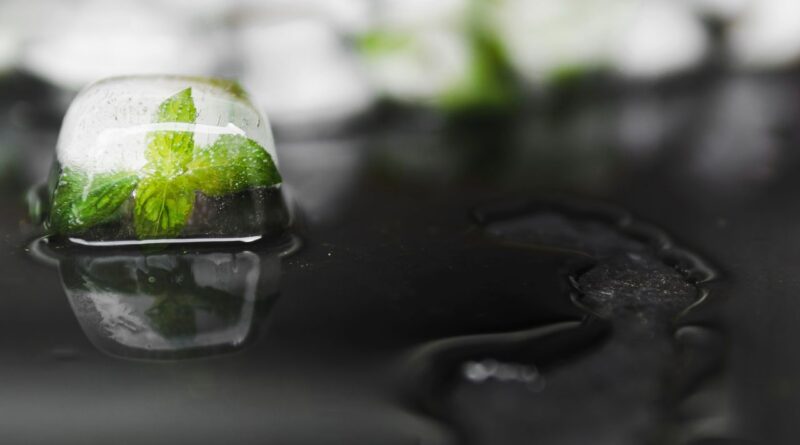 Innovation Environnementale Belgique