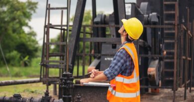 Développements Pétrole Gaz Cameroun