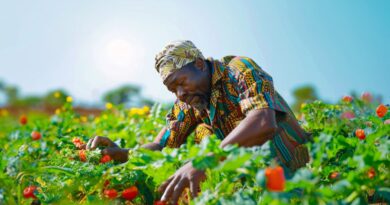 Agriculture camerounaise