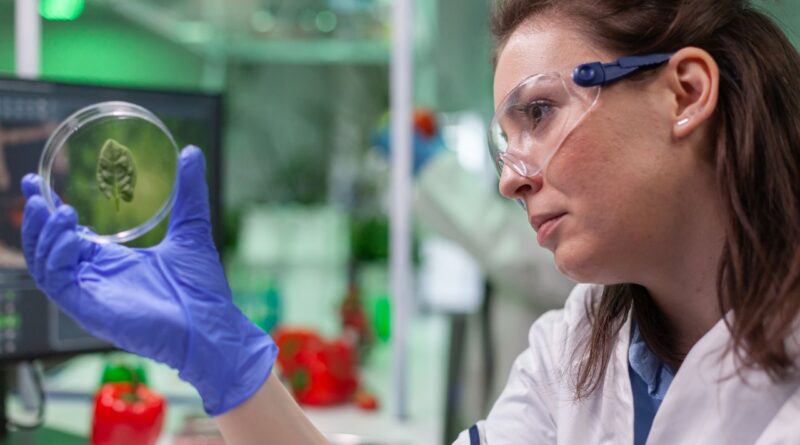 investissements RD biotechnologie Belgique