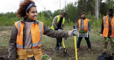 approches durables exploitation miniere cameroun