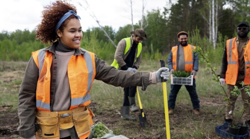 approches durables exploitation miniere cameroun
