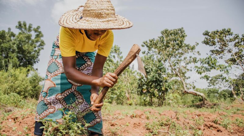 projets impact social Cameroun rural