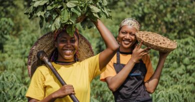 améliorer productivité agricole Cameroun