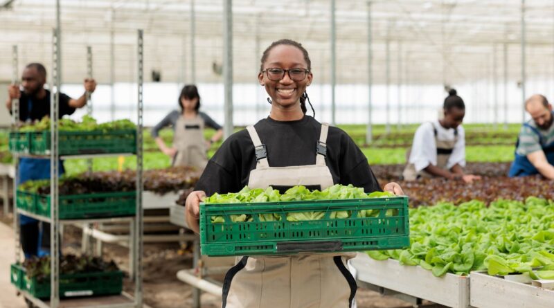 exportations agricoles Cameroun