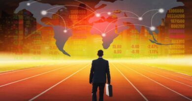 Investissement en France