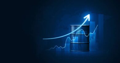 matières premières exportations africaines