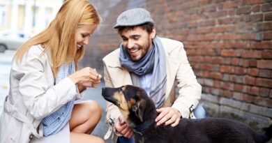 assurance animaux Paris Bruxelles Montréal