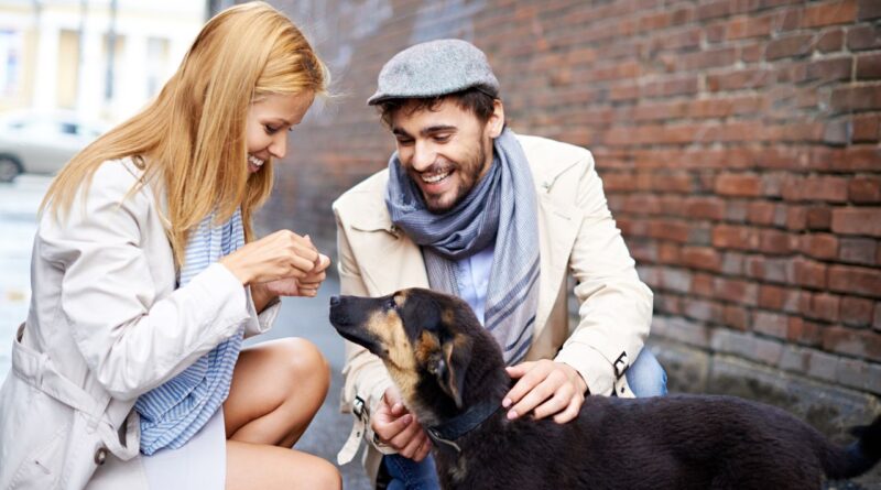 assurance animaux Paris Bruxelles Montréal