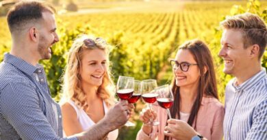 Régions Viticoles France