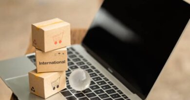 commerce électronique transfrontalier France