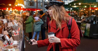 Pénétrer le Marché Commercial Français