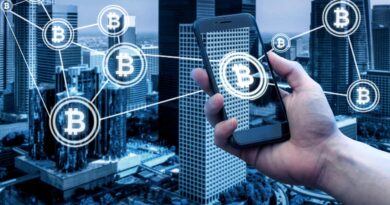 Adoption Blockchain France