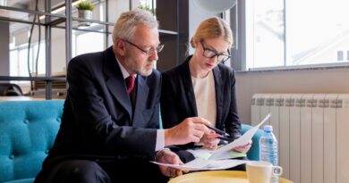 Politiques économiques France