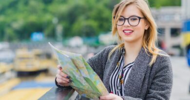 Options Carrière Expatriés France