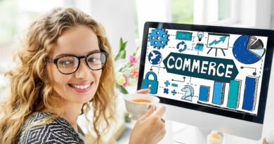 stratégies commerce électronique France