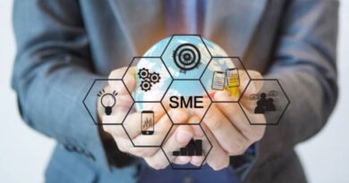 Stratégies Croissance PME Françaises