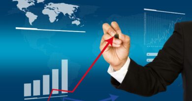 perspectives marché import-export France