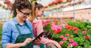 technologies vertes marché français