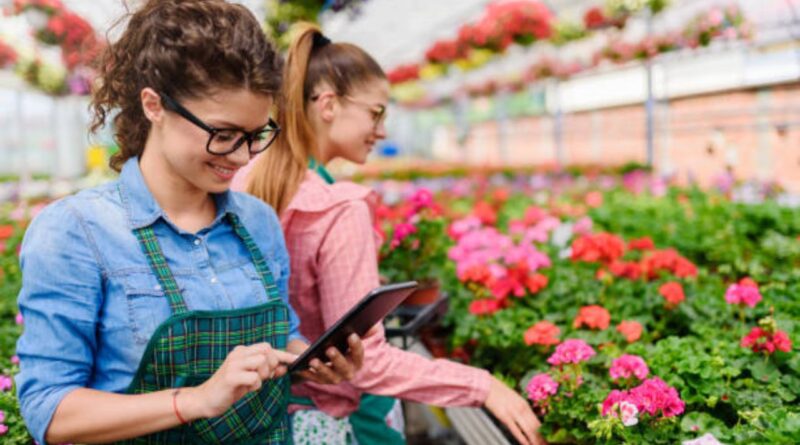 technologies vertes marché français