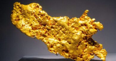 Chinoise arrêtée vol 6 kg d’or Paris