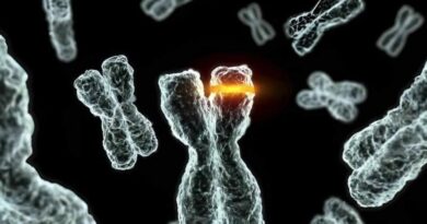 DeepMind Yale IA 27 milliards contre le cancer