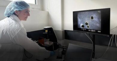 mini-cerveaux humains