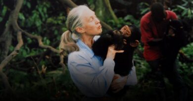 Décès de Jane Goodall à 91 ans
