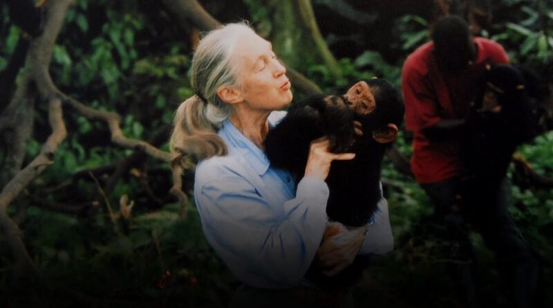 Décès de Jane Goodall à 91 ans