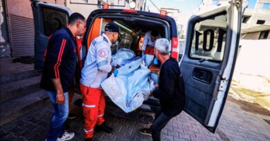 martyrs gaza bilan 67913