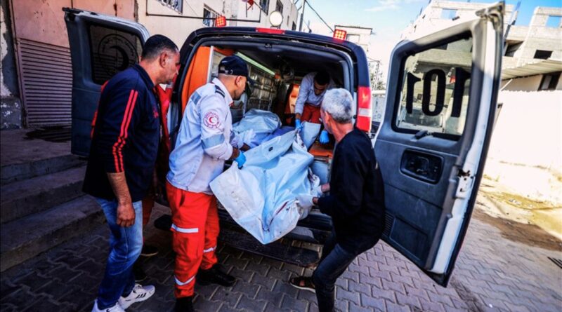 martyrs gaza bilan 67913