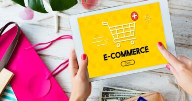 essor e-commerce français international