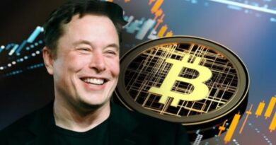SpaceX Elon Musk Bitcoin