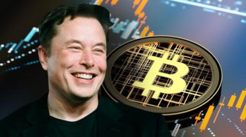 SpaceX Elon Musk Bitcoin
