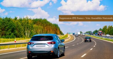 suppression zfe france