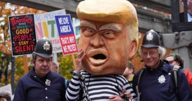 trump video ia manifestants no kings