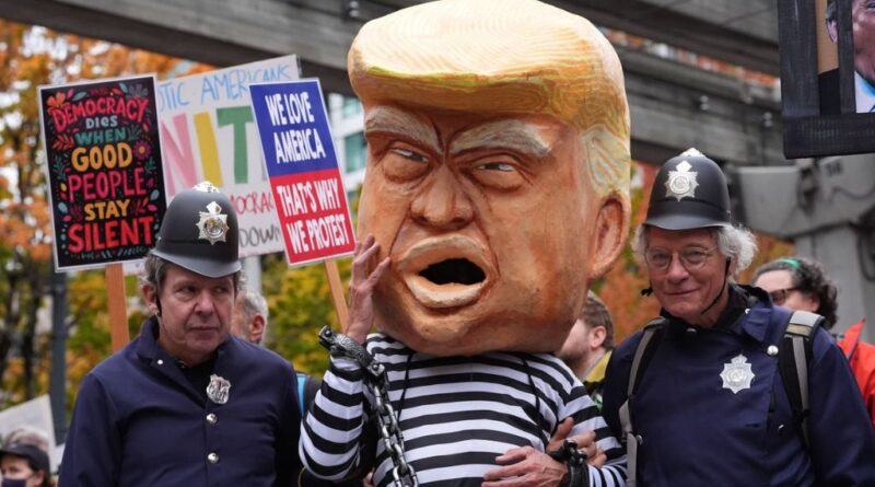 trump video ia manifestants no kings