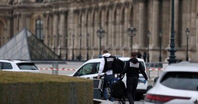 vol de bijoux au Louvre