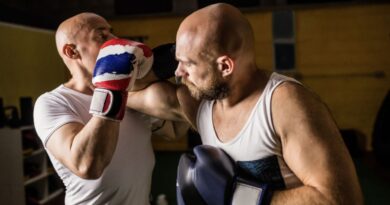 Boxe 2025 Superfights