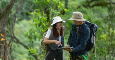 ecotourisme comment voyager de maniere responsable et durable