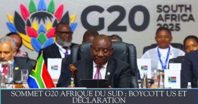 sommet G20 Afrique du Sud